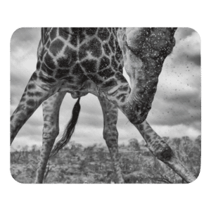 'Brugger 01' mouse pad