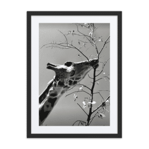 'Eric Flossic 01' framed art print with mat