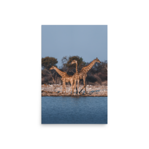 'Lenze-Milde 04' art print