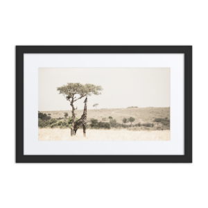 'Peretie 01' framed art print with mat