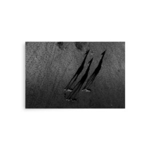 'Sachdev 06' art print