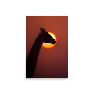 'SinghHeer 01' art print