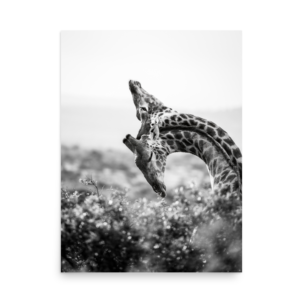 'Torie Hilley 01' art print