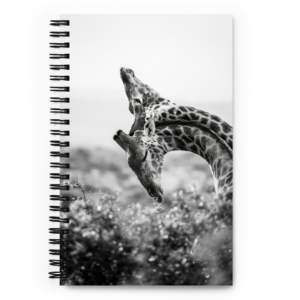 'Torie Hilley 01' spiral notebook