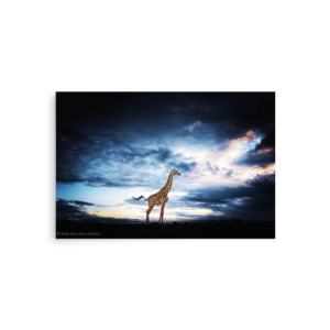 'VandenHeever 03' art print