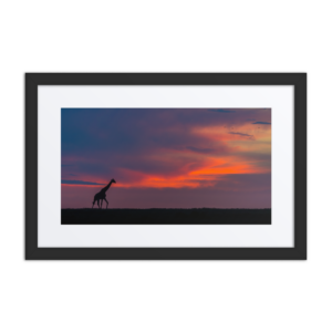 'Zhayynn James 02' framed art print with mat